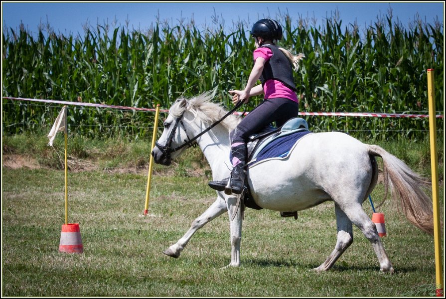 Mounted Games 110